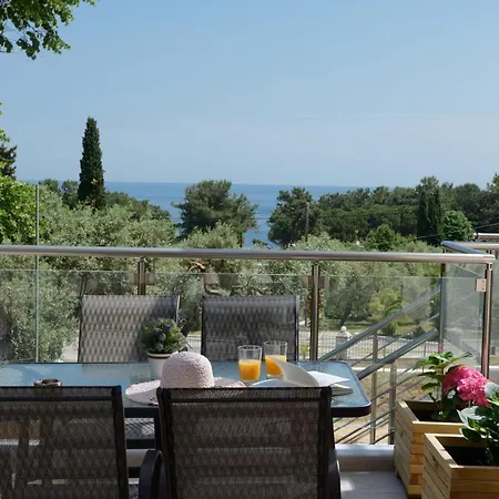 Szálloda Alfa Boutique